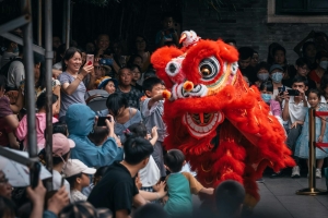 Colorful lion dance performance attracts excited crowd during street celebration.