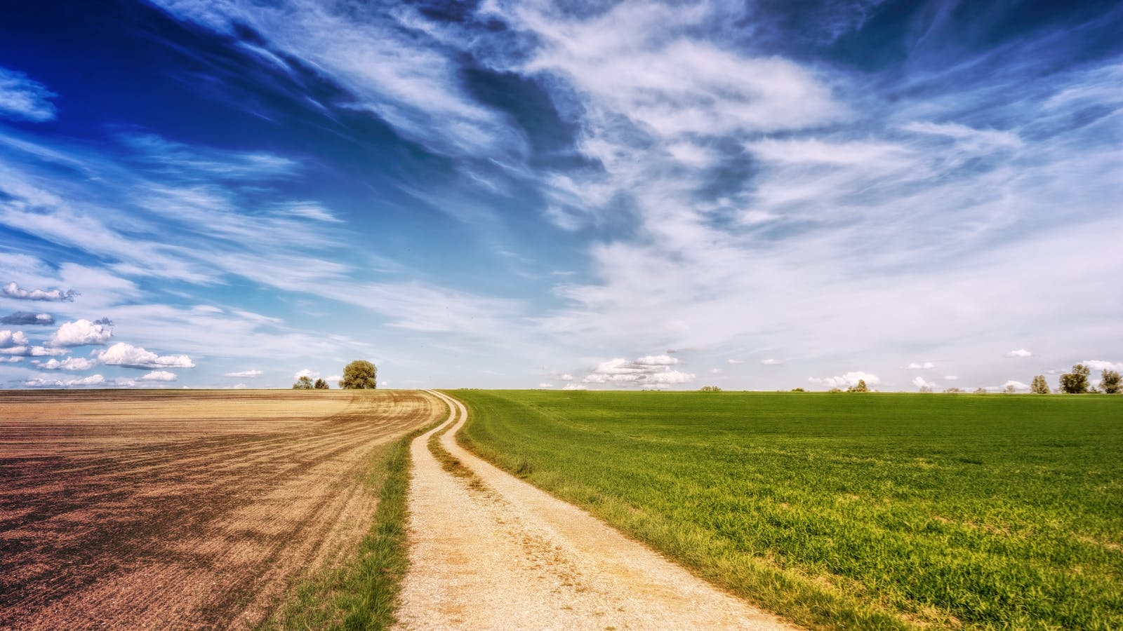 A tranquil dirt road cuts through lush farmland under a vibrant blue sky, creating a peaceful rural landscape.