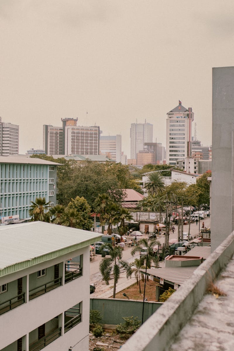 An aerial view of Lagos, Nigeria, showcasing urban architecture and palm trees.