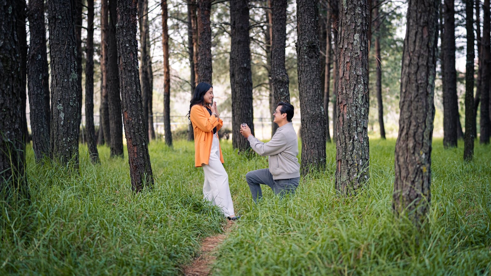 Heartfelt marriage proposal in a serene forest backdrop, capturing a romantic moment.