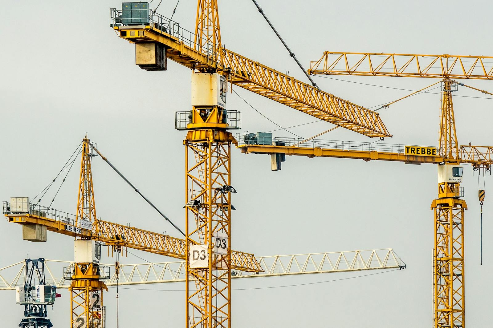 Cluster of yellow tower cranes at a construction site with a gloomy sky background.