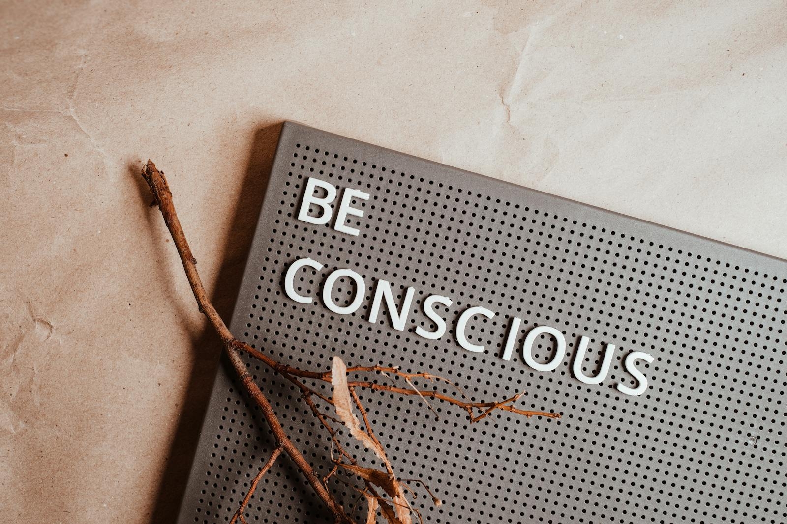 A flat lay of a pin board with the phrase 'Be Conscious' and natural elements.