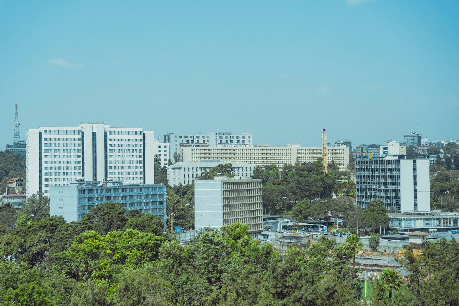 Modern buildings surrounded by lush green trees