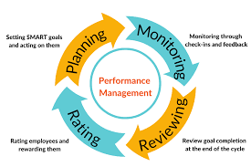 Hybrid financial management workflow for Nigerian small businesses combining accounting software and professional accountants